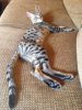 IMG_2760.jpeg