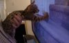 Elsa-TV-2.JPG