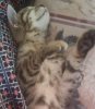 Sleeping-1.jpg