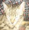 Sleeping-3.jpg