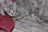 DSC_0008.JPG