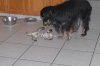 DSC_0016.JPG