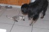 DSC_0017.JPG
