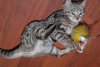 elsa-022114-20_std.jpg