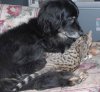 Elsa-05.JPG