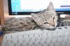 Elsa-06.JPG
