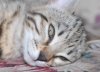 Sleeping.JPG