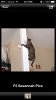 ImageUploadedByTapatalk 21394236198.306354.jpg