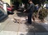 7-8-12-nina-walk-jn.jpg