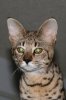 Kimi 2013 1225 04.JPG