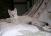 Chuju4.5months.jpg