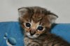 Kimi 2013 0718 07.jpg