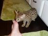 mom'sfoot.jpg