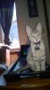 WP_20140509_006.jpg