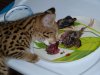 breakfast.jpg breakfast.jpg