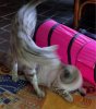 ImageUploadedByTapatalk1400072604.130776.jpg