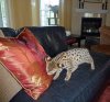 couch.jpg
