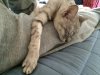 nap.jpg