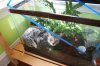 terrarium1.jpg
