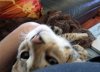 snuggle 2.jpg