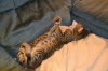 dsc_0002 small.jpg