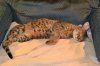 dsc_0001 small.jpg