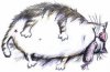 fat cat 1.jpg fat cat 1.jpg