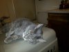 Leo 2014 0605 02.jpg