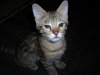 DSCN0496.JPG