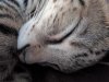 sweet face.jpg