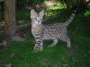 DSCN0532.JPG