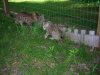 DSCN0518.JPG