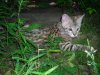 DSCN0537.JPG