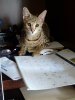 paperwork.jpg