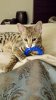 teething 2.jpg