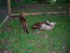 DSCN0575.JPG