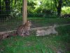 DSCN0578.JPG