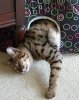 Igloo nap.jpg