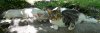 Spencer&Blue.jpg