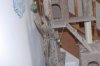 Testing-5.JPG
