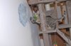 Testing-7.JPG