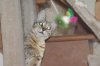 Testing-28.JPG