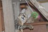 Testing-29.JPG