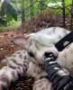 ImageUploadedByTapatalk1404073713.162158.jpg