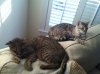 nap time 2013-11-24 15.20.55.jpg