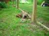 DSCN0586.JPG