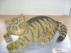 catcat2.jpg