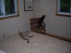 DSCN0596.JPG