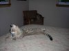 DSCN0598.JPG