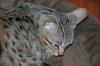 Elsa-8.JPG